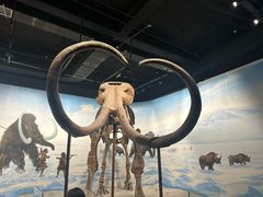-辽宁古生物博物馆