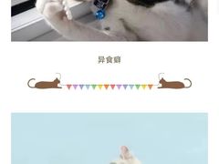-瑞派申生动物医院·24H夜诊·国际动物医疗中心·骨外科(吴中路店)
