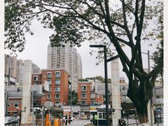 -四川大学(望江校区)