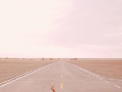 -敦煌雅丹国家地质公园
