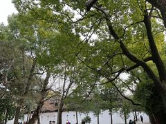 -西园戒幢律寺
