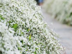 -共青国家森林公园-售票处