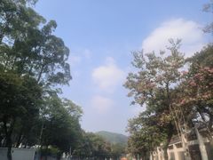 -广州市白云山风景名胜区