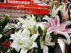 -花辰月夕花坊(北滨路店)