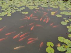 -白马涧龙池景区