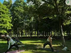 -南汇新城城市公园