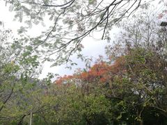 -水濂山森林公园