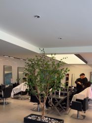 点击看大图 -付军剪艺JF ProSalon