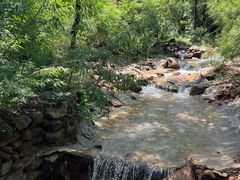 -黄金寨原生态旅游区