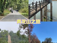 -青龙山国家森林公园