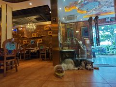 -more than meow吴止猫主题餐厅(承德 中船汇店)