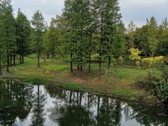 -贡湖湾湿地公园