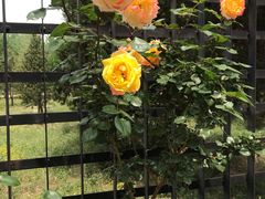 -兰溪小馆(东直门簋街店)