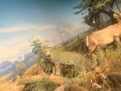 -陕西自然博物馆