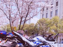 -永乐路-路侧停车场