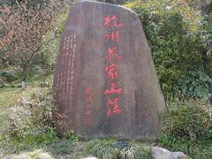 -杭州花家山庄