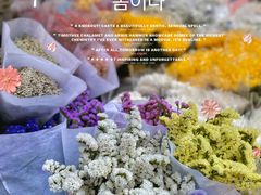 -循礼门鲜花花市(武汉循礼门店)