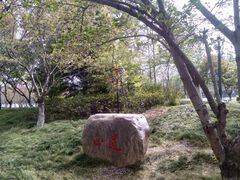 -高东镇樱花园
