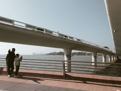 -演武大桥观景平台