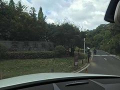 -宝界山林公园