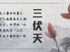-裕和堂中医推拿艾灸(太古汇臻品店)