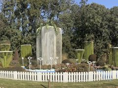 -上海共青森林公园