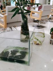 -菲·木田moontin造型salon