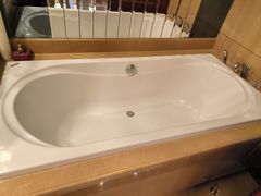 -上海浦东星河湾酒店