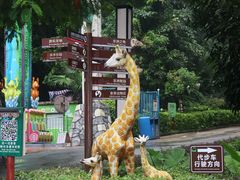 -深圳野生动物园
