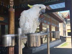 -那家小馆•北京菜•烤鸭(香山店)
