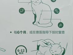 -芭比堂动物医院·心脏专科·夜诊·吉雅分院