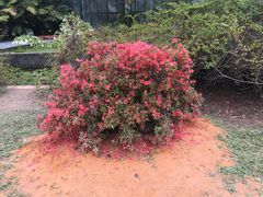 -华南国家植物园-售票处