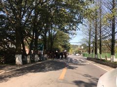 -铁山坪森林公园