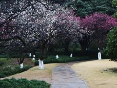 -杭州植物园