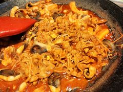-红辣椒八爪鱼特色韩国料理