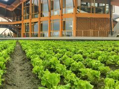 -中国天府农业博览园