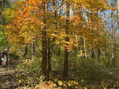 -玉渡山自然风景区