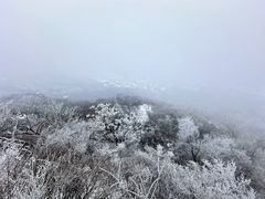 -紫金山山顶公园