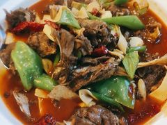 -新疆兵团食府清真(马连道店)