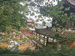 -温江公园