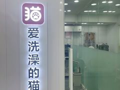 -爱洗澡的猫(望京店)