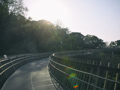 -福道