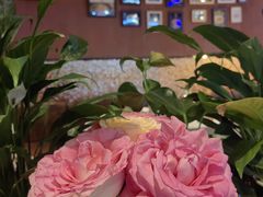 -和牛食堂•BISTRO(广州首店)