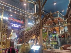 -卡通尼·Safari非洲探索乐园·生日会(金桥国际商业广场店)