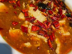 -小放牛炒菜馆(军校店)