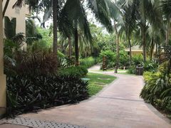 -三亚亚龙湾天域度假酒店