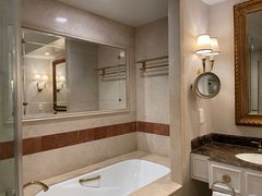 -澳门威尼斯人综合度假区