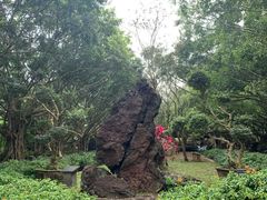 -海口火山口国家地质公园