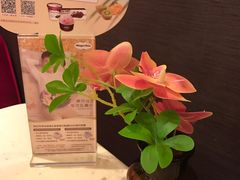 -哈根达斯(国瑞店)