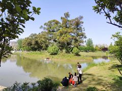 -两河城市森林公园